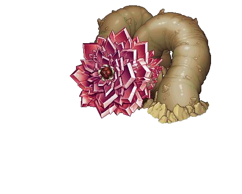喰炎の蠕虫 喰炎の蠕虫