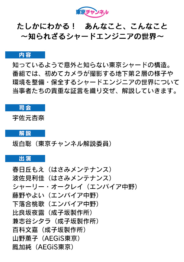 たしかにわかる あんなこと こんなこと 知られざるシャードエンジニアの世界 アリスギア アリス ギア アイギス 攻略 Wiki