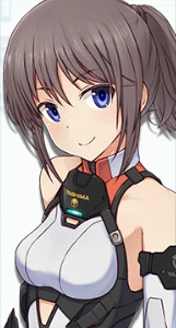 履歴書_ステラー.png