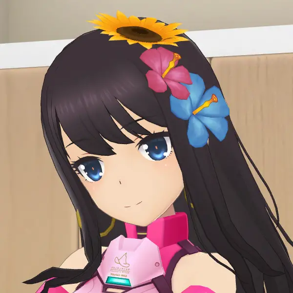 アクセ_サンビスカス.jpg