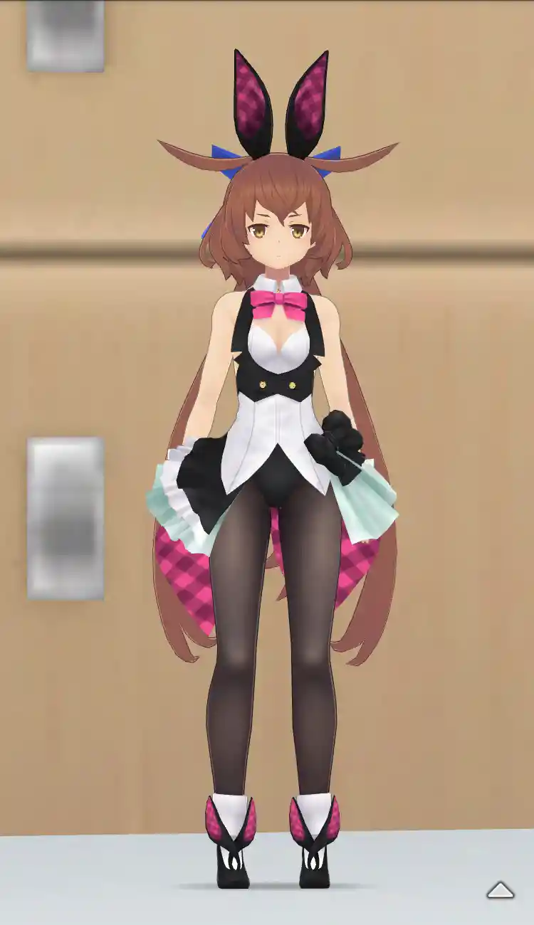 衣装_ゾディアックバニー_全身前.jpg