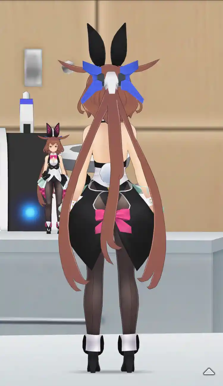衣装_ゾディアックバニー_全身後.jpg