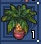 パイナップルの鉢植え.jpg