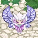 薫紫の聖蝶・ｸｨﾝ.png