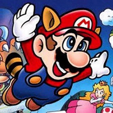 しっぽマリオ キャラクター大図鑑 Wiki