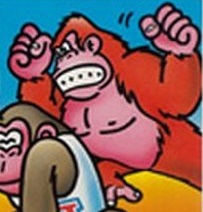 donkeykong_first_jr.jpg