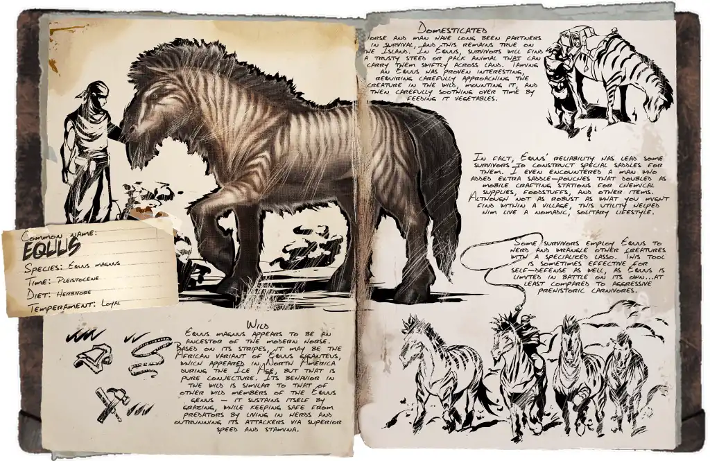 IMG_0026.jpeg IMG_0026.jpeg