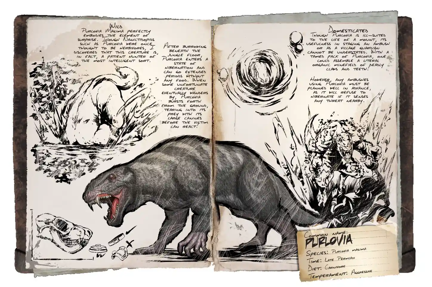 Dossier_Purlovia.jpg Dossier_Purlovia.jpg