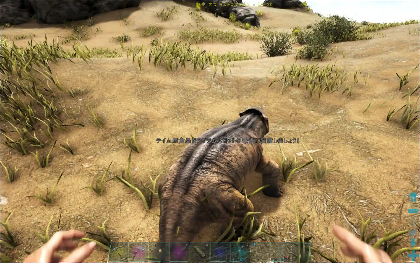 テイム 捕獲 の手引き Ark Survival Evolved Wiki