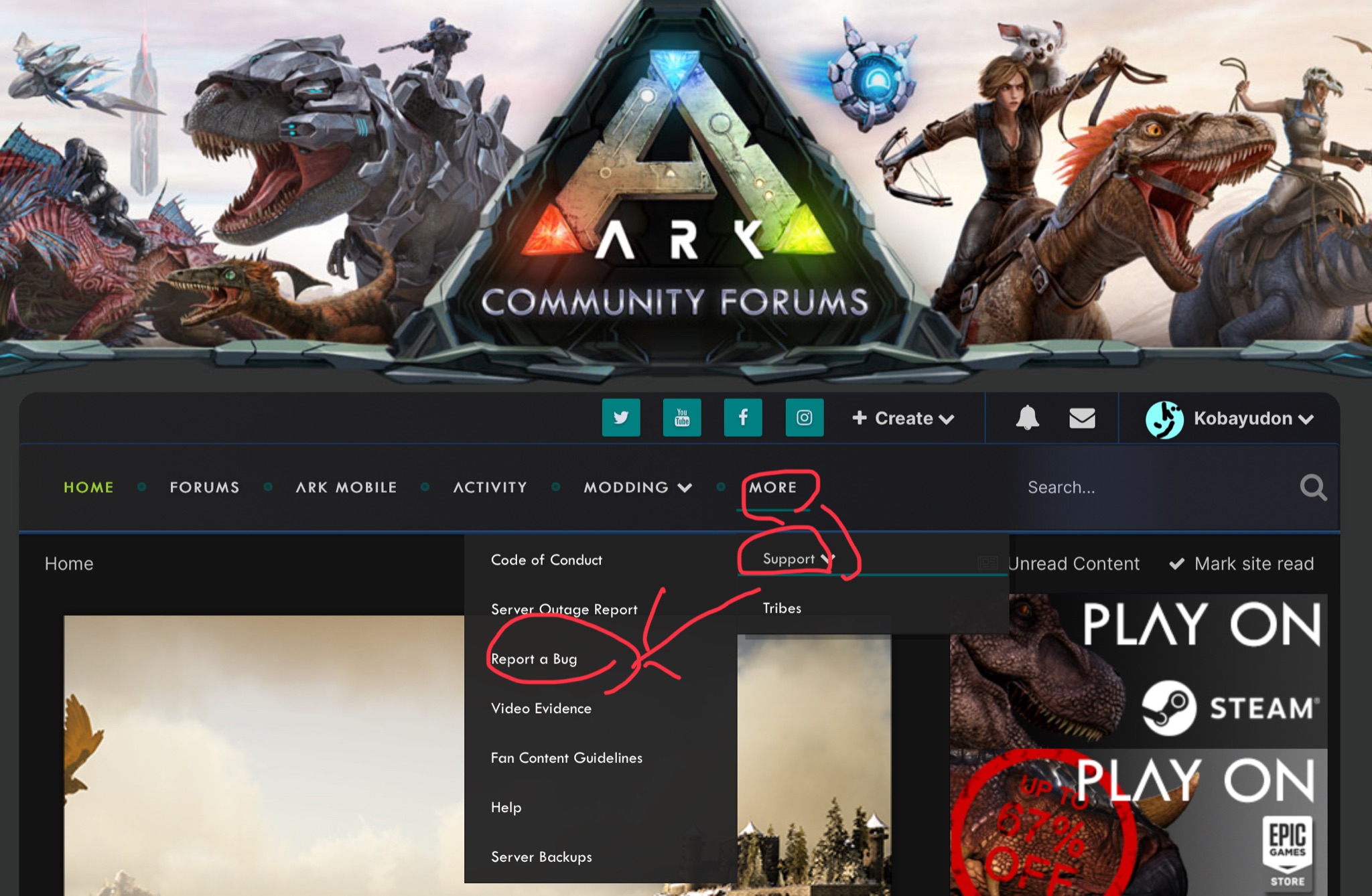 バグなどの報告の仕方 公式への問い合わせ Ark Survival Evolved Wiki