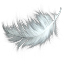 Feathers_(Primitive_Plus).png