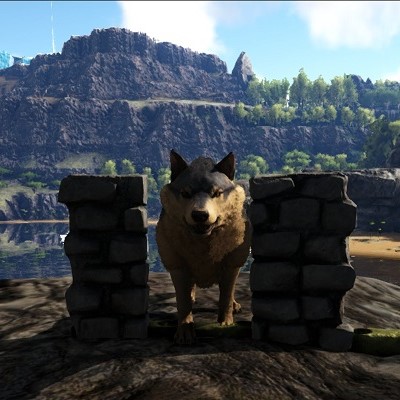 罠の手引き Ark Survival Evolved Wiki