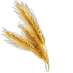 Dried_Wheat_(Primitive_Plus).png