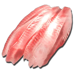 Raw_Fish_Meat_1.png