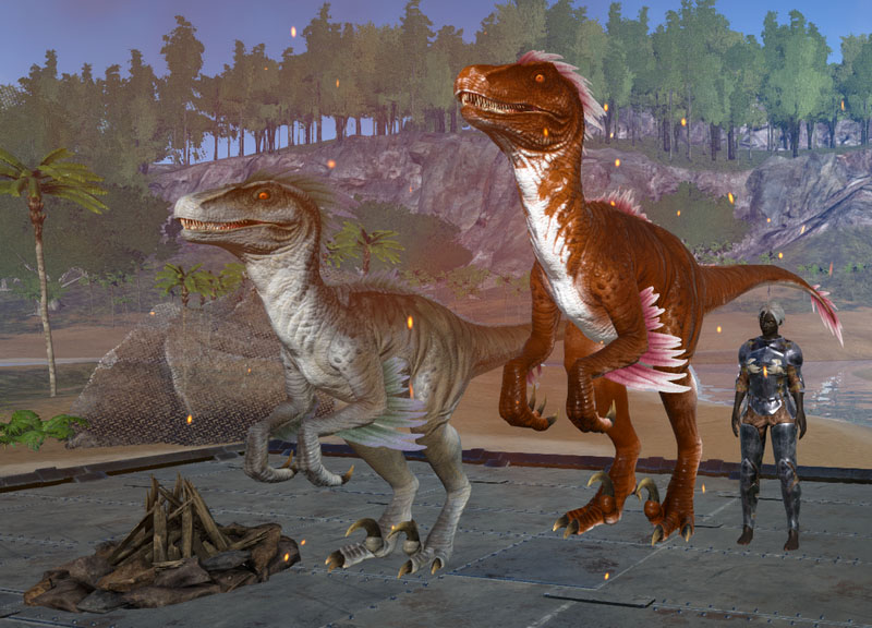 Alpha Raptor Ark Survival Evolved Wiki