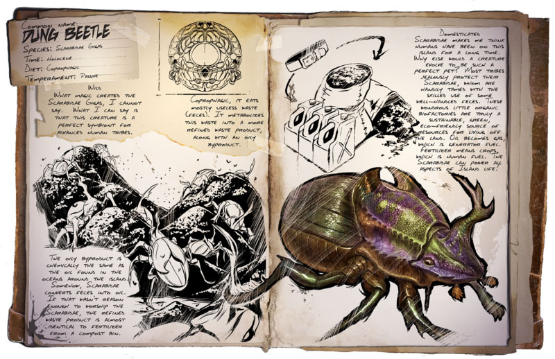 Dung Beetle Ark Survival Evolved Wiki