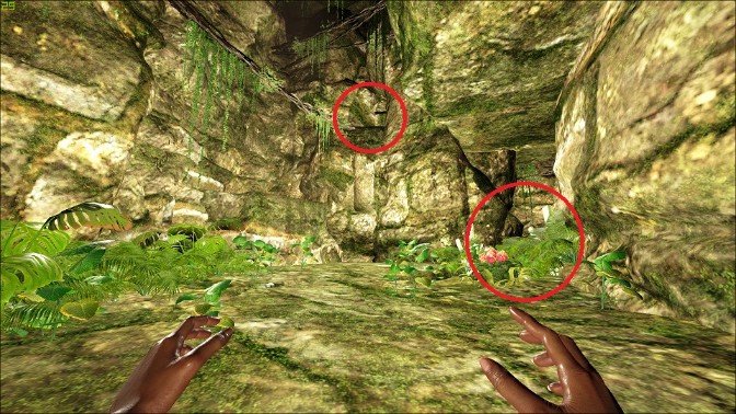 Jungle Dungeon Ark Survival Evolved Wiki