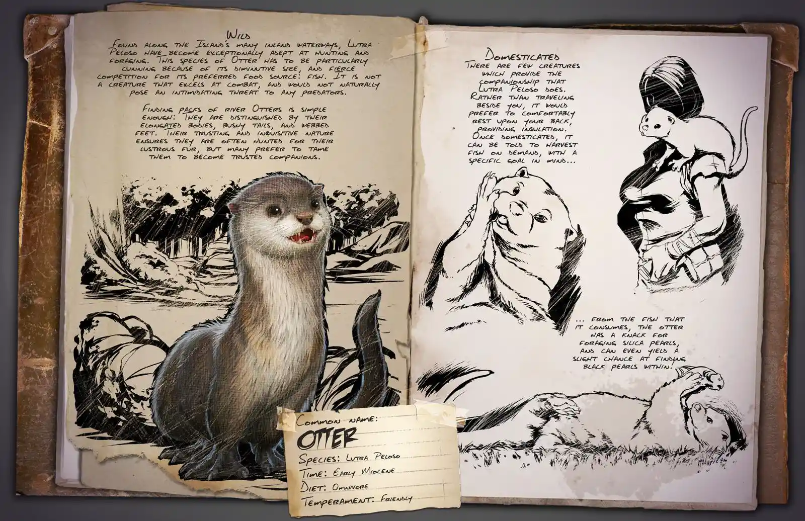 Otter Ark Survival Evolved Wiki