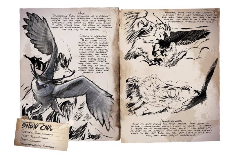 Snow Owl Ark Survival Evolved Wiki