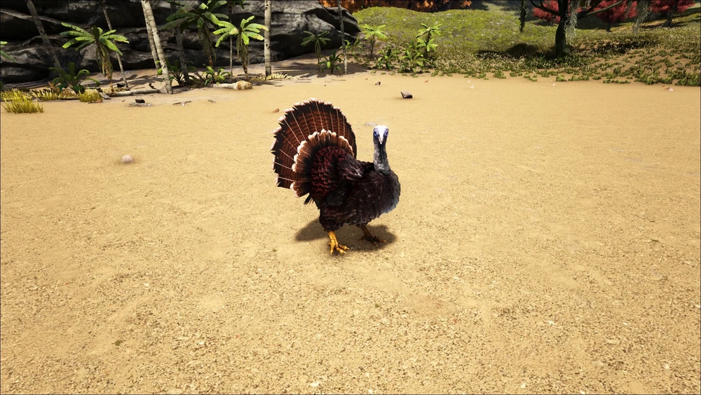 Super Turkey Ark Survival Evolved Wiki