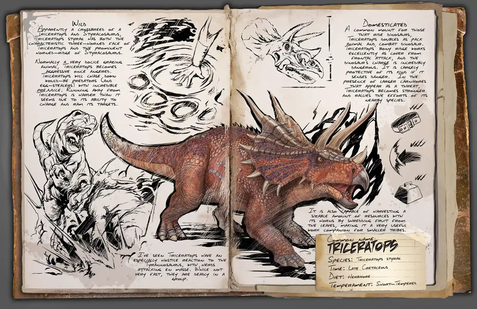 Triceratops Ark Survival Evolved Wiki