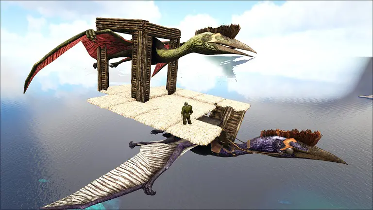 セール ark 遠いペット