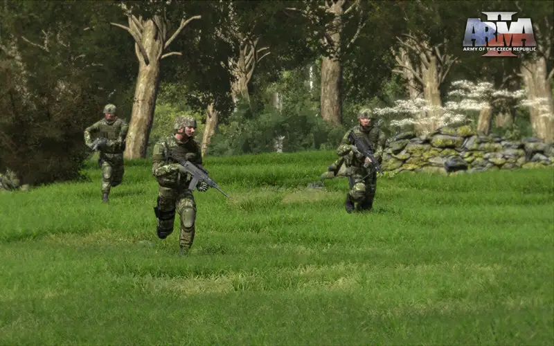 a2acr_ss_008.jpg a2acr_ss_008.jpg