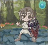 飛龍の盾.png 飛龍の盾.png