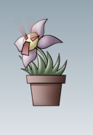 イカリ草.png イカリ草.png