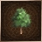 Small Tree.PNG