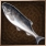 Salmon.PNG