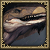 lizard_icon.png