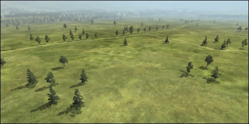 grassy.jpg