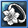 SilverRing(INT).png