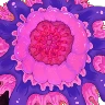 80_unknown5_st01.png