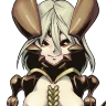 amphis_fc1_0.png