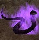 紫大蛇.jpg