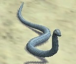 鎧蛇.jpg
