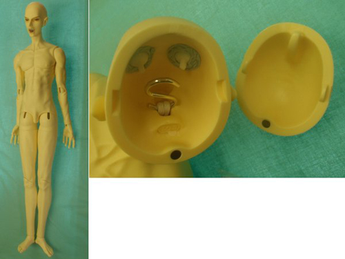plasticA31309_3.jpg plasticA31309_3.jpg
