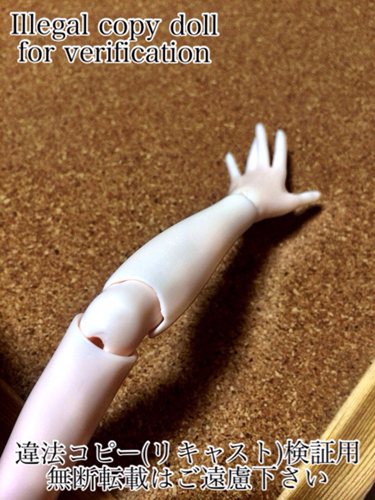 腕関節(肘_10437.jpg 腕関節(肘_10437.jpg