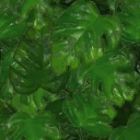 ジャングルブッシュの葉.png