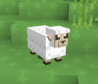 Sheep.png Sheep.png