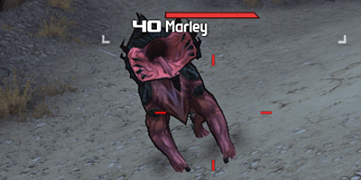marley.jpg marley.jpg