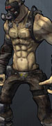 Krieg_Skin_081.jpg Krieg_Skin_081.jpg