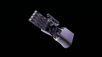 12_BASC-MN-N.jpeg 12_BASC-MN-N.jpeg