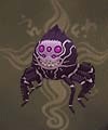 紫蜘蛛.jpg