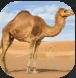Camel.PNG Camel.PNG