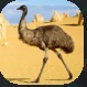 Emu.PNG Emu.PNG