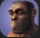 Erectus.PNG Erectus.PNG