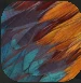 Feathers.PNG Feathers.PNG